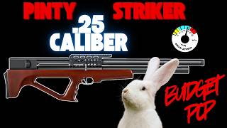 Does a Budget Friendly Airgun = Accuracy? The PINTY Striker .25 Bullpup 4K