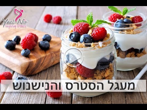 מעגל הסטרס והנשנוש