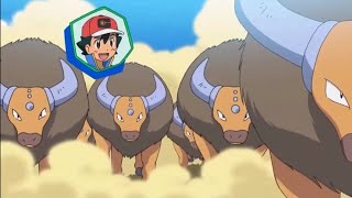 Everytime Ash hit by his 30 Tauros Compilation