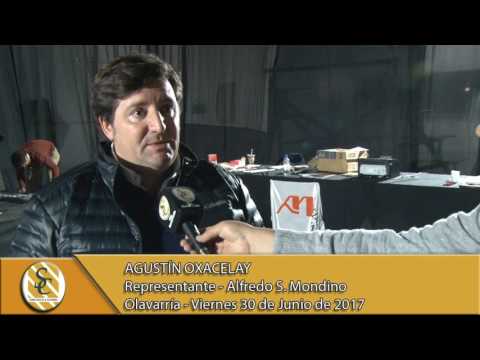 30-06-17 Nota Agustín Oxacelay - Alfredo S. Mondino - Remate Televisado - Olavarría