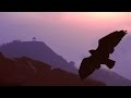Pan Flute Romantic Instrumental Music / More than 2 hours of flute de pan love songs