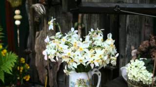 Salzkammergut 2012 - Seer - Hoamatgfühl