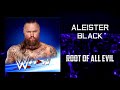 WWE Aleister Black Root Of All Evil Entrance Theme AE Arena Effects