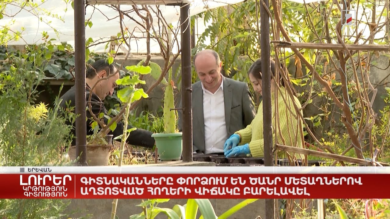 Գիտնականները փորձում են ծանր մետաղներով աղտոտված հողերի վիճակը բարելավել