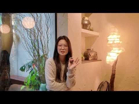 Play Video Introduce