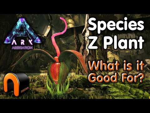 download lagu mp3 mp4 Wild Plant Name Starting With W, download lagu Wild Plant Name Starting With W gratis, unduh video klip Wild Plant Name Starting With W