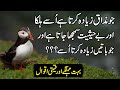 Aqwal e Zareen In Urdu | Hindi Urdu  Quotes About Life