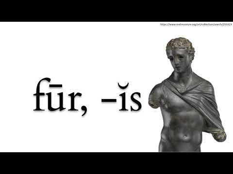 FUR - As histórias das palavras latinas