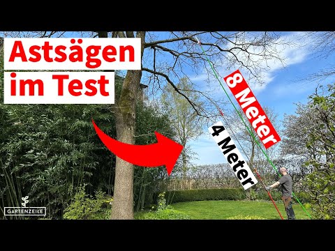 Teleskop-Astsägen / Hochentaster im Test [Äste in über 9 Metern Höhe schneiden]