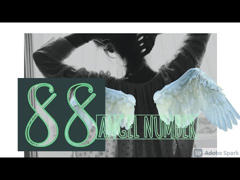 #angelnumber ANGEL NUMBER 88: LEAD BY EXAMPLE ( ANALYZE, ABUNDANCE & INTUITION, PROSPERITY)