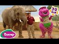 Animal Fun with Barney | Taking Care of Animals Compilation | Barney the Dinosaur