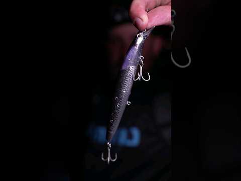 Tipps & Tricks: der perfekte ZANDER-WOBBLER - Größe, Form & Tauchschaufel