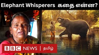 The Elephant Whisperers Story: யானை பாசத்தால் உலகின் கவனம் ஈர்த்த  முதுமலை தம்பதியின் கதை | Oscars