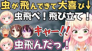 みんなと虫に対する反応が違いすぎるねねちが面白すぎたw【ホロライブ 切り抜き／雪花ラミィ／桃鈴ねね／AZKi／戌神ころね】