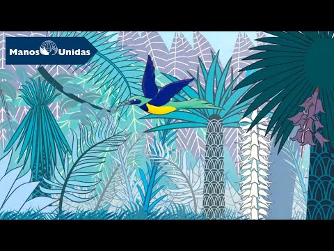 Sira y el Pájaro Negro | Manos Unidas