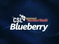 CSL Blueberry Flv