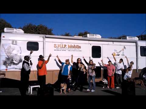 download lagu mp3 mp4 Snipca, download mp3 Snipca free downloadn, video klip Snipca