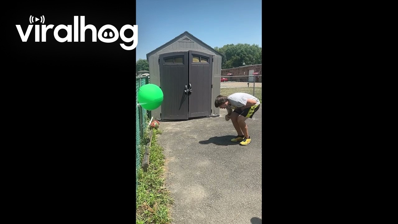 Instant Regret with an Axe || ViralHog