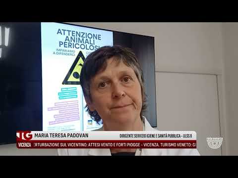 TG VICENZA Edizione completa | 19/08/2025