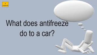 What Does Antifreeze Do To A Car?