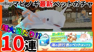 【マビノギ】最新マビノギペットボックスガチャ10連‼【超大当たり】