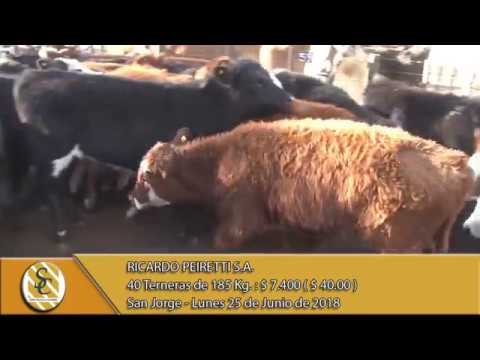 25-06-18 Venta de Hembras - Ricardo Peiretti S.A. - San Jorge