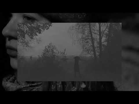 Public Memory - Ringleader (Unofficial Music Video)