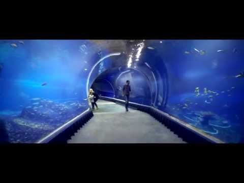 Afrykarium - pierwsze oceanarium w Polsce (ZOO Wrocław)