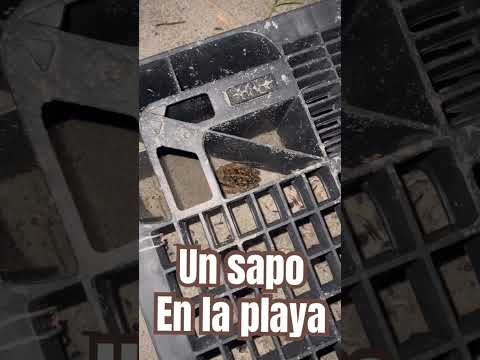 #viajera #colombiana #travelblog #fypシ #traveling #viajes #parati #necoclí #antioquia #colombia #fyp