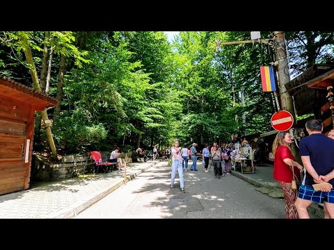 Relaxare și reîmprospătare în Băile Olanesti