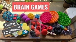 Brain Games for Dogs-Mental Enrichment