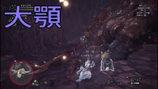 置き爆弾がイヤらしいー【MHW実況】part 23