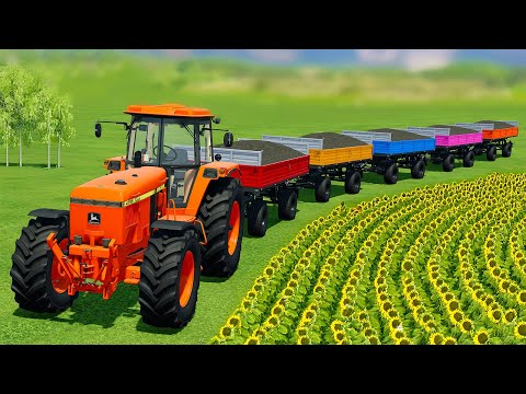 HARVESTING SUNFLOWERS WITH JOHN DEERE AND LOADING WITH CASE TRACTORS - Farming Simulator 22
