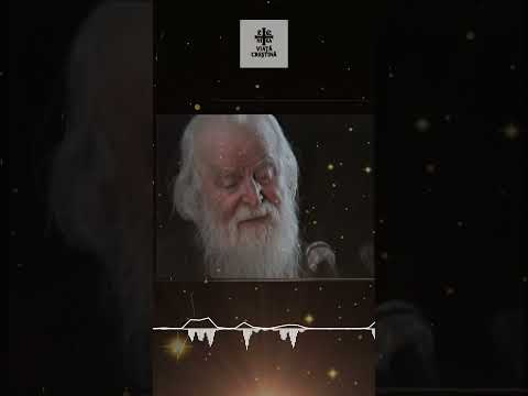 Father Sofian Boghiu - The Mother of God is the mother of all! #FatherSofian #TheMotherOfGod