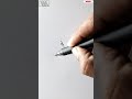 Single Line Elephant Drawing Shorts Elephant Drawing Shorts Viral