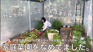 農家の方には感謝しかないです。