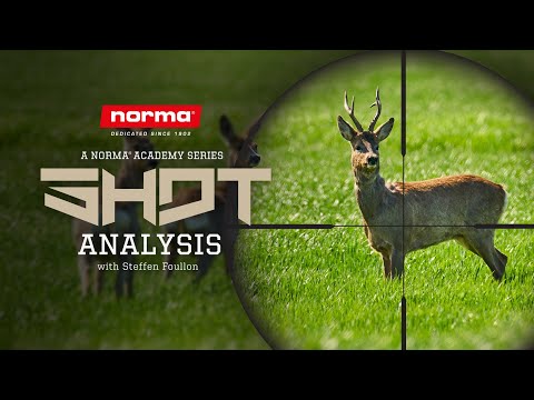 Anschuss Seminar 3 | Daran erkennt Ihr einen tödlichen Treffer