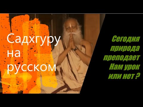 Сегодня природа преподает Нам урок или нет ? Садхгуру на русском.
