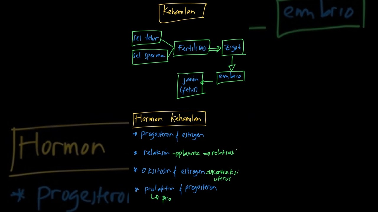 Hormon pada proses kehamilan yang berperan... | Biologi Kelas X | Kelas 11 | 9 | Biologi
