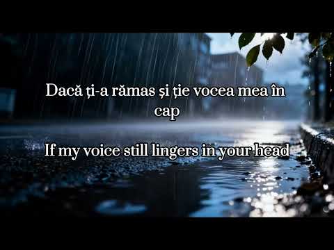 Holy Molly X The Motans - Neintenționat Lyrics