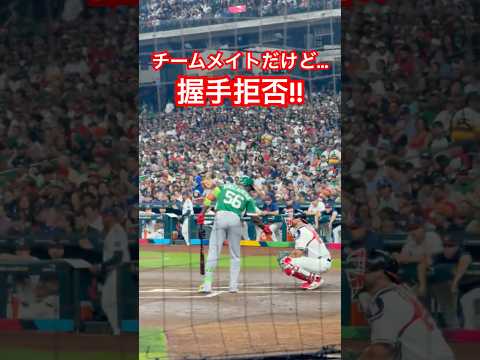 アロザレーナ、チームメイトのローリーから握手拒否笑 #WBC #MLB #shorts