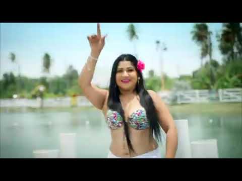 Hemlatha Dindial, Vanita Willie, Raju Laloo, Shiva Lakhan, Veejai, Sexy Vanie Chutney 2022 Mix