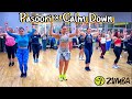 Pasoori Calm Down Urban Desi Mix By Dj Nick Dhillon Choreo By Zumba Suzy Zumba Fitness