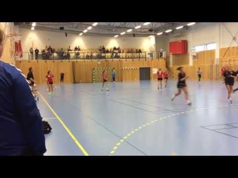 Dalhems IF-Trelleborgs HBK (Pre-season Cup 2014) del 2