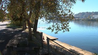 How Pittsburgh’s wet spring is impacting fall allergy season