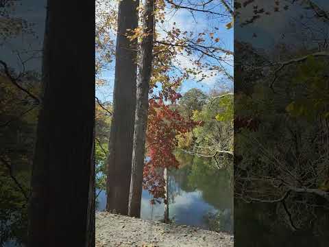 Autumn Backroads WNC