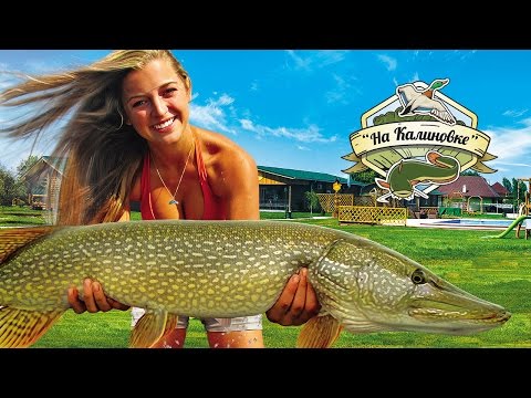 Рыболовная база "На Калиновке". Астрахань. Калиновка. Камызяк.