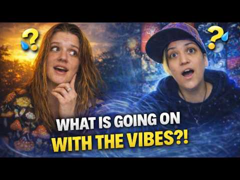 What is going on with the vibes right now?