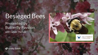 Varsity Tutors' StarCourse: Besieged Bees with BUTTERFLY PAVILION