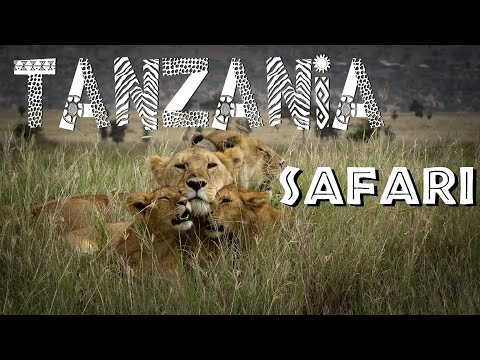 The Combined Tanzania Experiences in one.